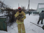 Сотрудники МЧС спасли кота из пожара в Липецкой области