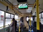 Липецкий городской транспорт назван лучшим в Черноземье
