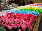 В преддверии Международного женского дня цветочные базары проверит Россельхознадзор