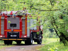 Официальная статистика обнародовала июльские данные по количеству пожаров в Липецке