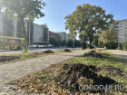 В Липецке продолжается масштабное озеленение общественных пространств 