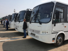 Автопарки Липецкой области получат 56 новых автобусов