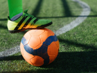 Добровские спортсмены победили в областном чемпионате по мини-футболу