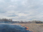В Липецкой области ликвидировали возгорание сухой травы