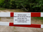 В Липецкой области продлен запрет на посещение лесных массивов