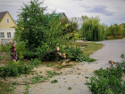 В Липецке городские службы ликвидируют последствия урагана 