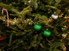 В Липецке вандалы «напали» на новогоднюю елку