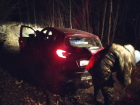 В Липецкой области автомобиль с женщиной и ребенком-инвалидом застрял в лесу