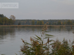 В Липецкой области открыли путепровод через реку Олым