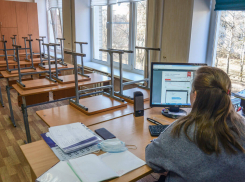 Два класса липецких школ переведены на «удалёнку»