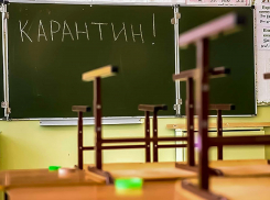 В Липецке увеличивается количество школьников на карантине