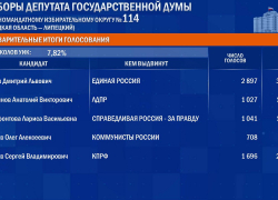 На довыборах в ГД победил Дмитрий Аверов