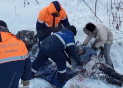 Сотрудники МЧС вытащили из Каменного лога замерзшего мужчину