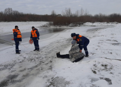 В Задонске 44-летняя местная жительница едва не утонула