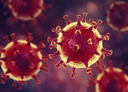 В Липецкой области от коронавируса умерло 7 человек за сутки