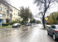 В Липецке ураганный ветер повалил дерево на улице Горького