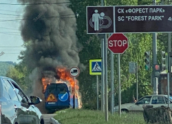 В Задонске полностью сгорела «ГАЗель» дорожной службы 