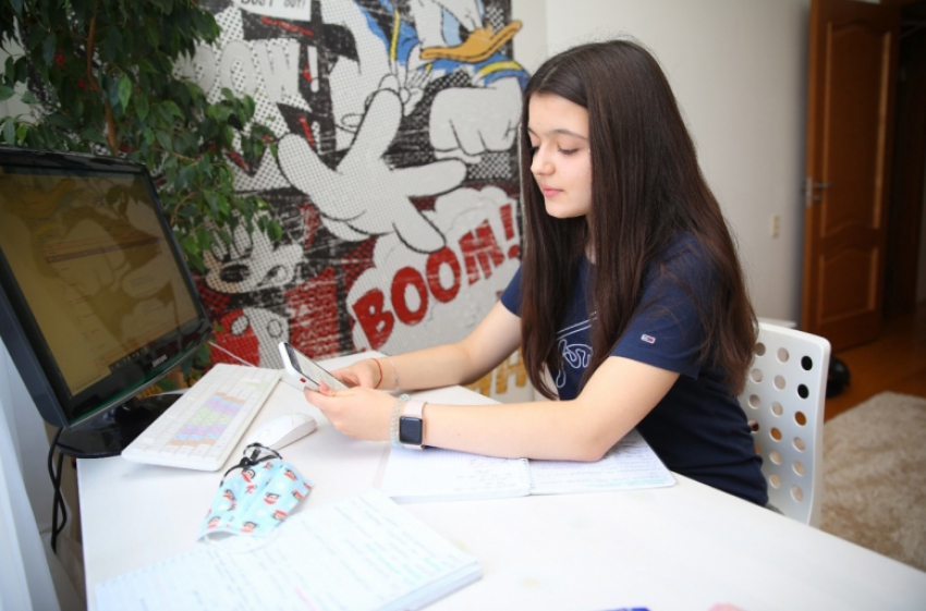 Учащихся липецких школ переводят на дистанционное обучение