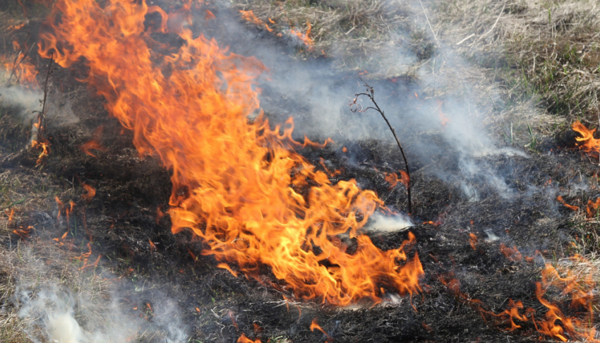 В Липецкой области возросло количество пожаров